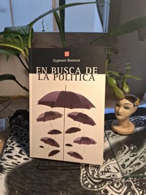 En Busca De La Política
